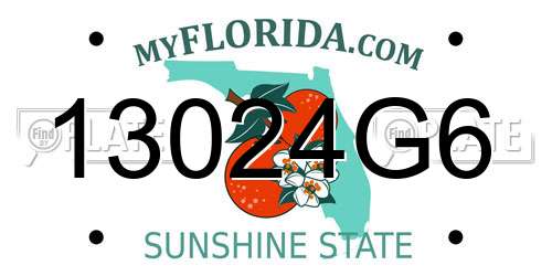 13024G6 Florida License Plate