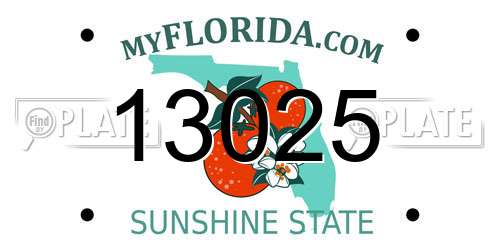 13025 Florida License Plate
