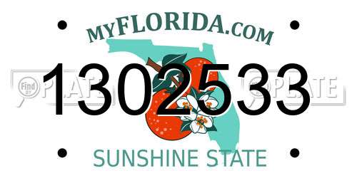 1302533 Florida License Plate