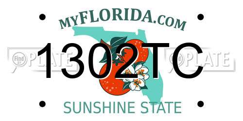 1302TC Florida License Plate