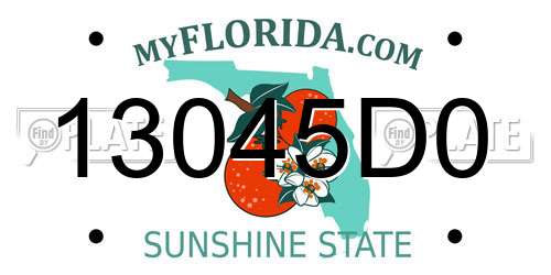 13045D0 Florida License Plate