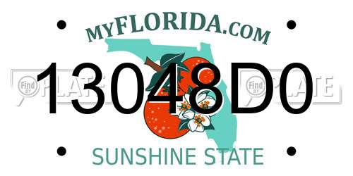 13048D0 Florida License Plate