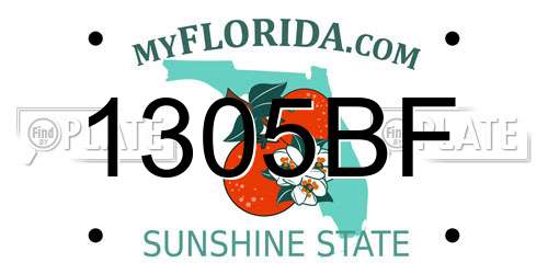 1305BF Florida License Plate