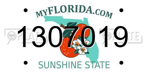 1307019 Florida License Plate