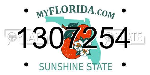 1307254 Florida License Plate