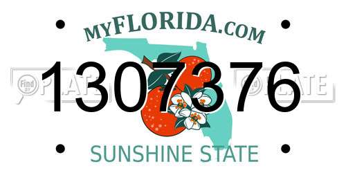 1307376 Florida License Plate