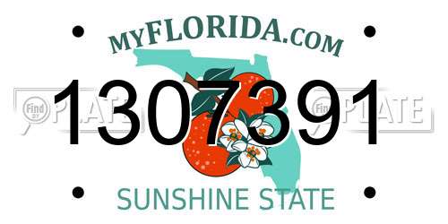1307391 Florida License Plate