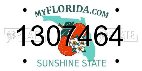 1307464 Florida License Plate
