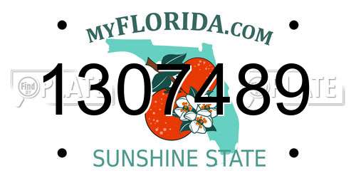 1307489 Florida License Plate