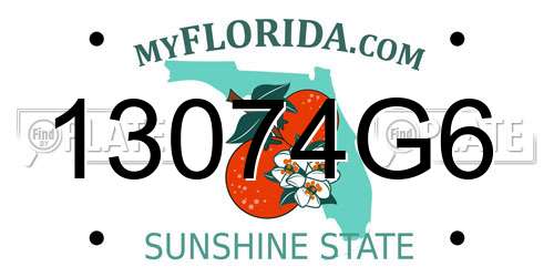 13074G6 Florida License Plate