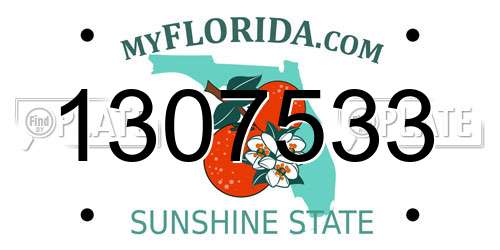 1307533 Florida License Plate