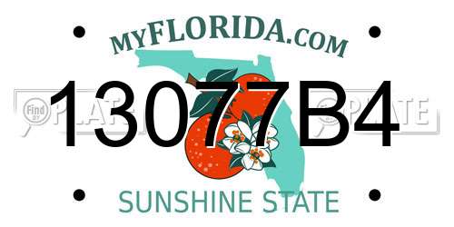 13077B4 Florida License Plate