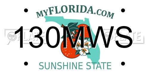 130MWS Florida License Plate