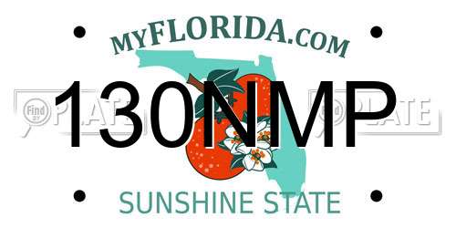130NMP Florida License Plate
