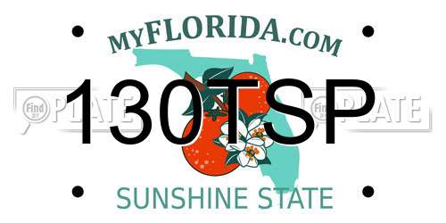130TSP Florida License Plate