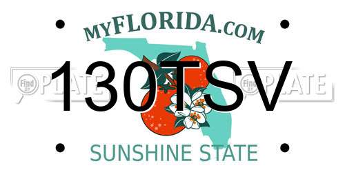 130TSV Florida License Plate