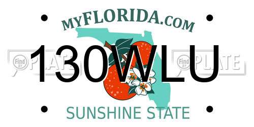 130WLU Florida License Plate