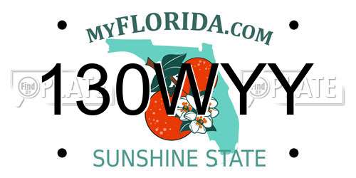 130WYY Florida License Plate