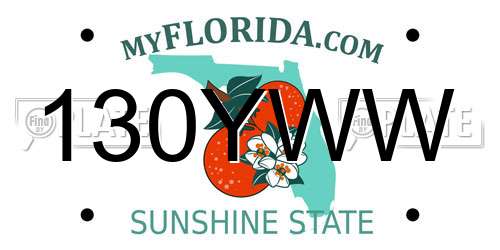 130YWW Florida License Plate