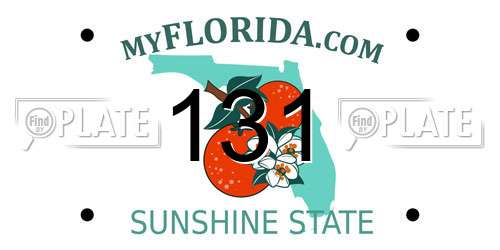 131 Florida License Plate