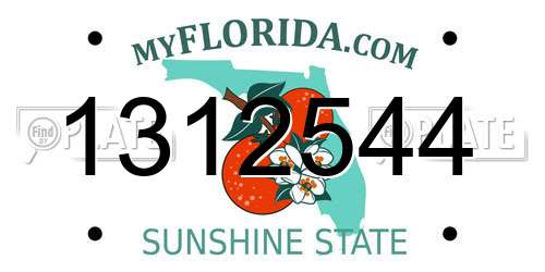 1312544 Florida License Plate