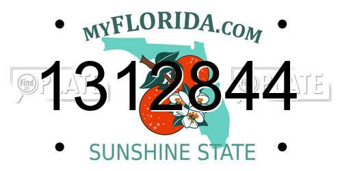 1312844 Florida License Plate