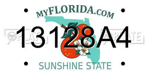 13128A4 Florida License Plate