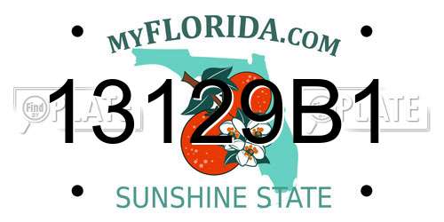 13129B1 Florida License Plate
