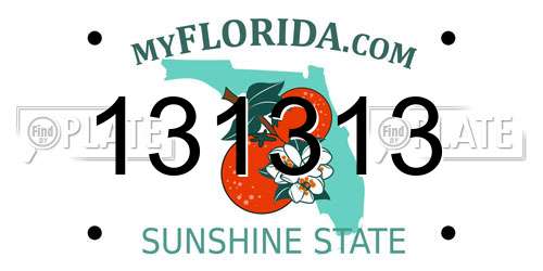 131313 Florida License Plate