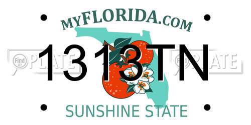 1313TN Florida License Plate