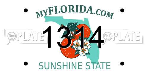 1314 Florida License Plate