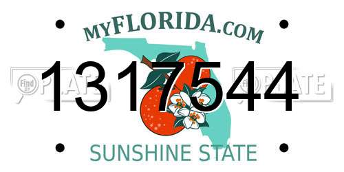 1317544 Florida License Plate