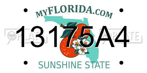 13175A4 Florida License Plate