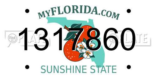 1317860 Florida License Plate