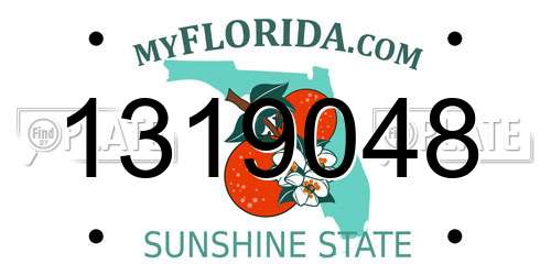 1319048 Florida License Plate