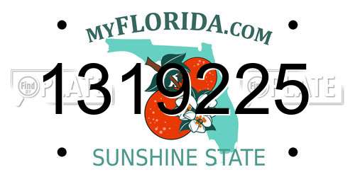 1319225 Florida License Plate