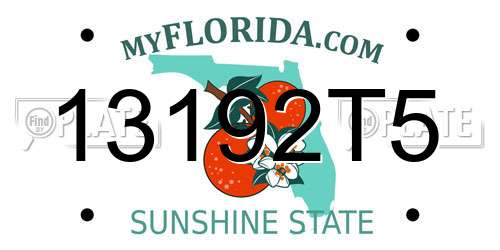 13192T5 Florida License Plate