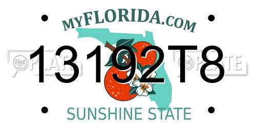 13192T8 Florida License Plate