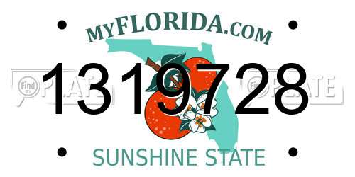 1319728 Florida License Plate