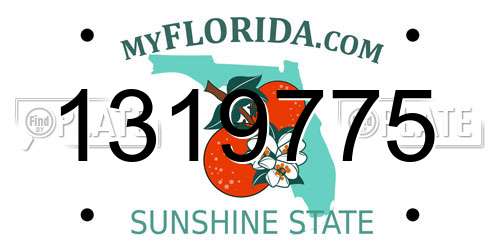 1319775 Florida License Plate