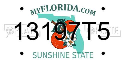 13197T5 Florida License Plate