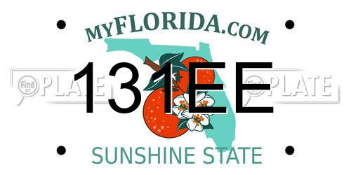131EE Florida License Plate
