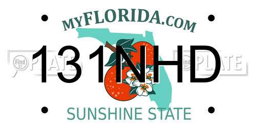 131NHD Florida License Plate