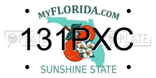 131PXC Florida License Plate