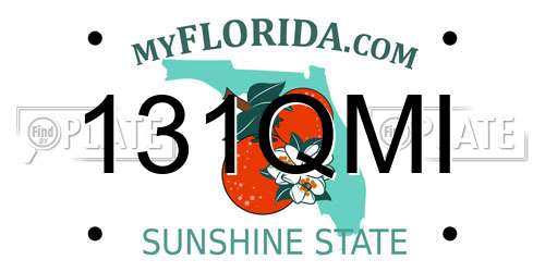 131QMI Florida License Plate