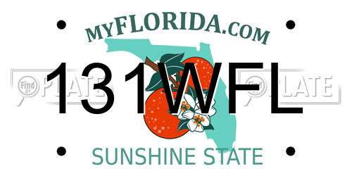 131WFL Florida License Plate