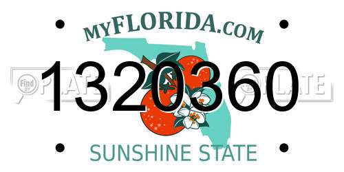 1320360 Florida License Plate