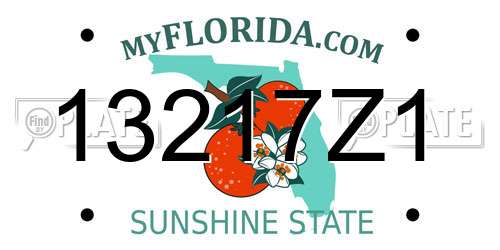 13217Z1 Florida License Plate