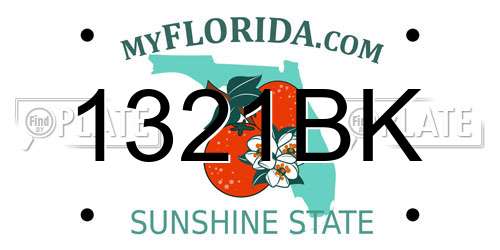 1321BK Florida License Plate