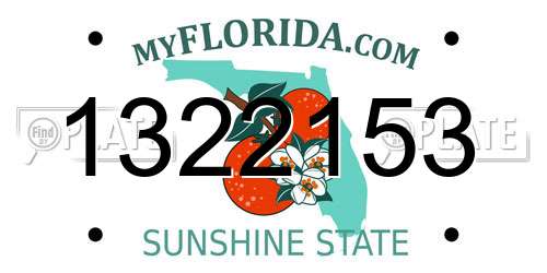 1322153 Florida License Plate